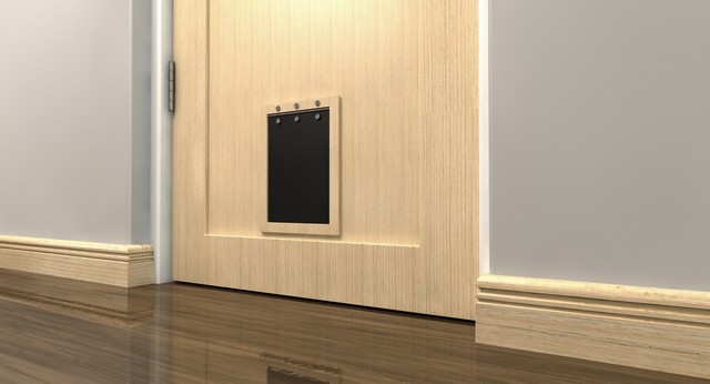 Cat Flap Installation North Harrow, South Harrow, West Harrow, HA2