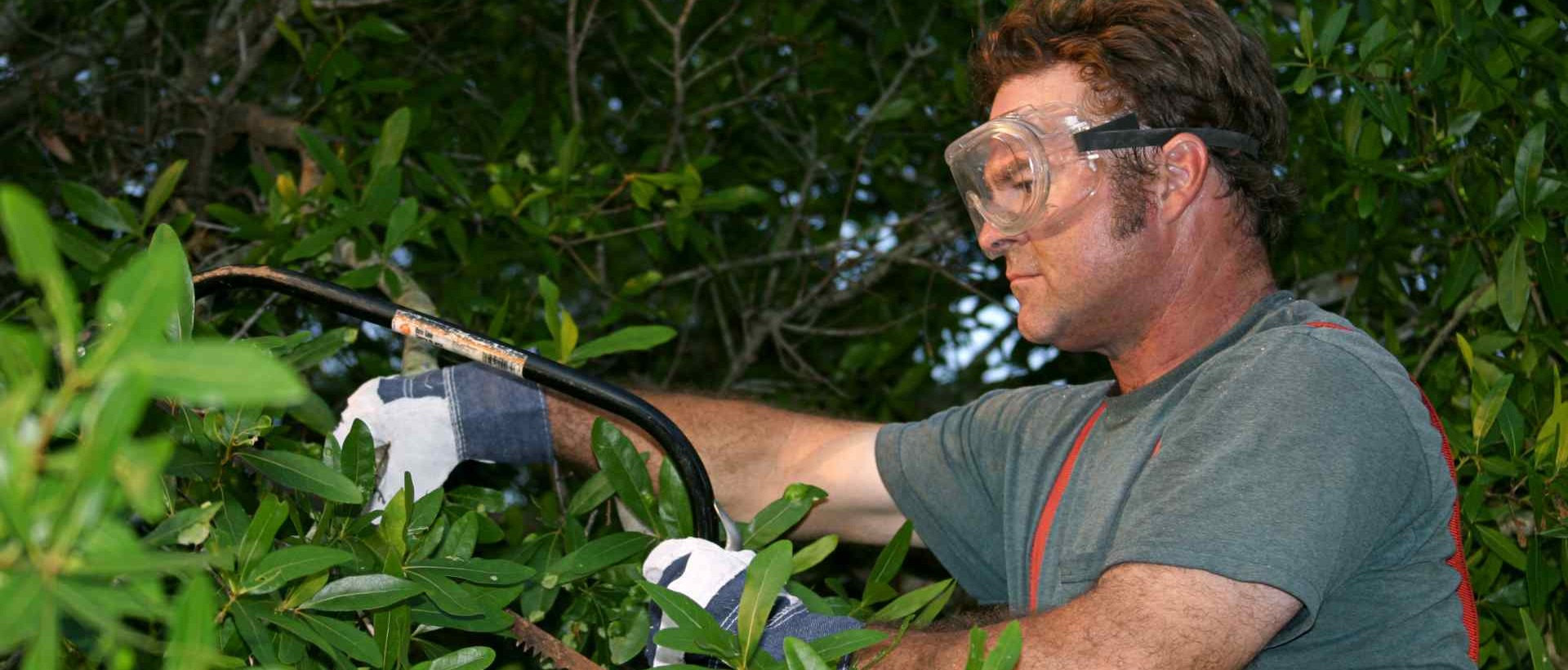 garden clearance HA2