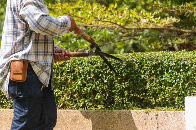 Garden Maintenance North Harrow, South Harrow, West Harrow, HA2